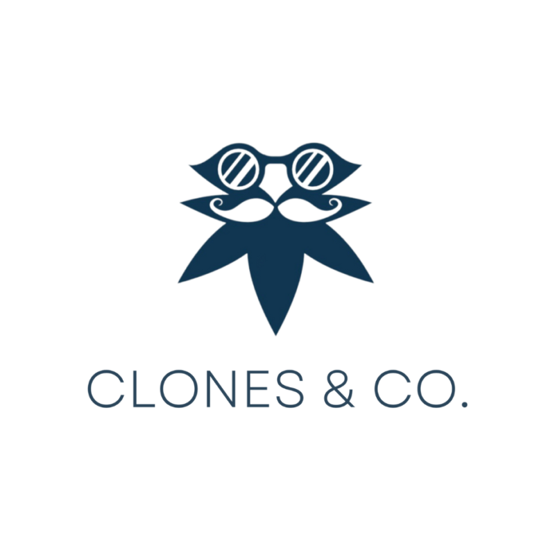 Clones and Co.