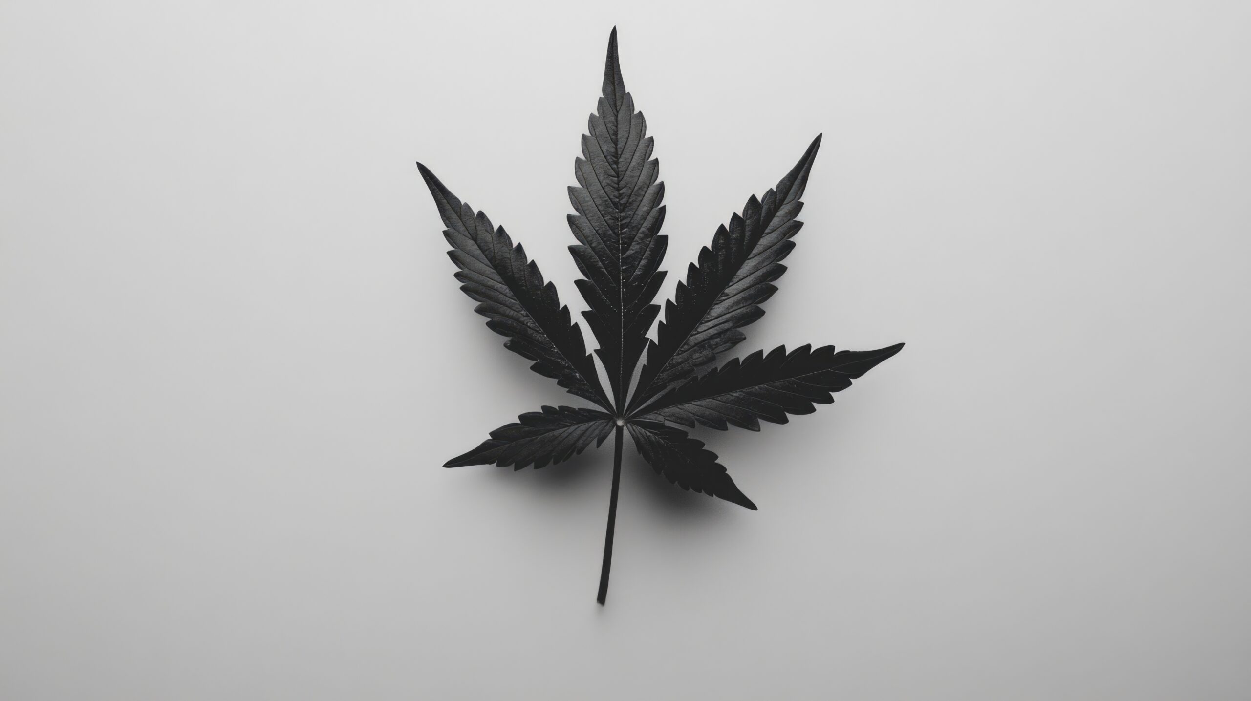 Black and White Marijuana Leaf