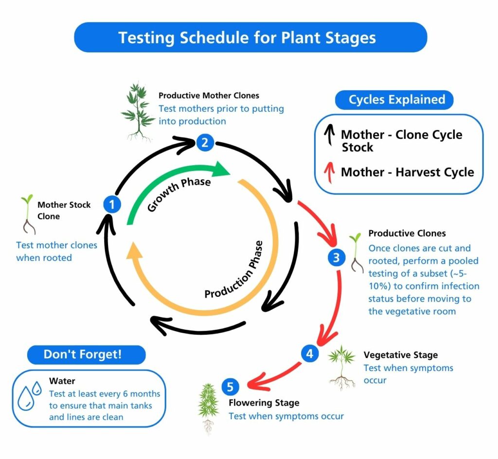 Routine Pathogen Testing